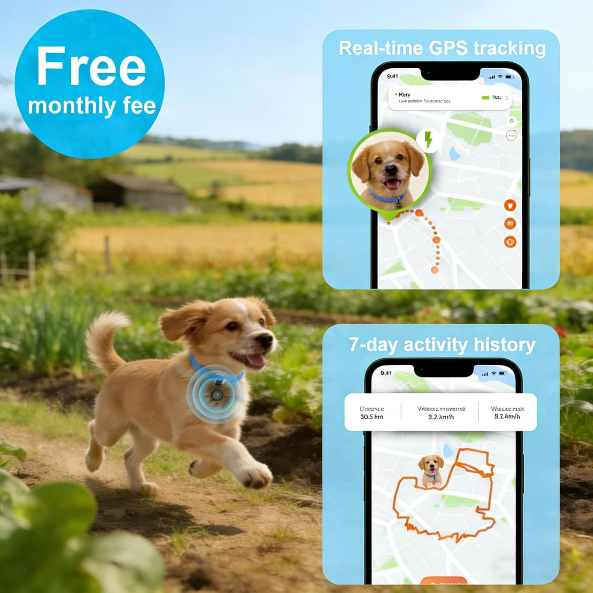GPS-Spårare för Hund – Realtidsspårning utan Månadsavgift